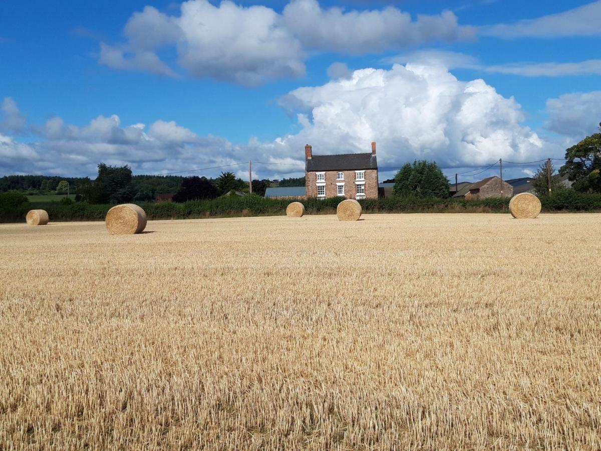 Upper Eyton Farmhouse B&B Alberbury Exterior foto